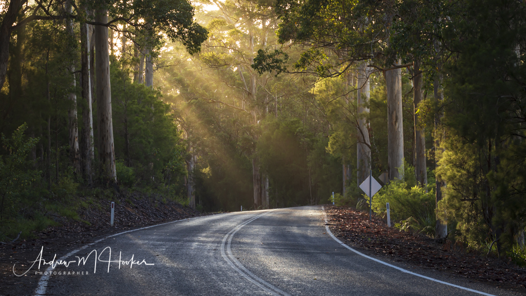 Scotsdale Rd
